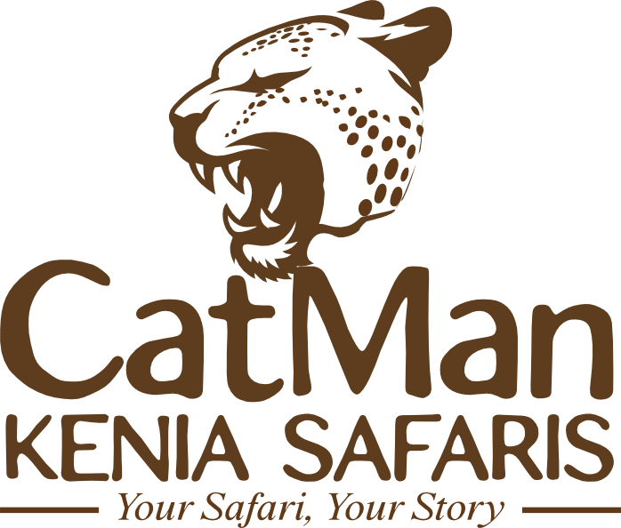 Catman Kennia Safaris